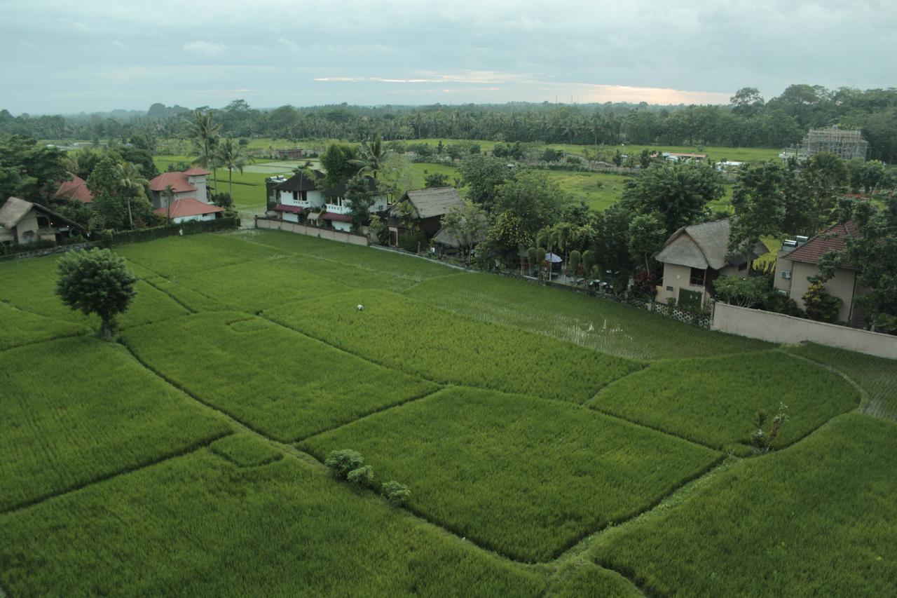 The Evitel Resort Ubud Luaran gambar